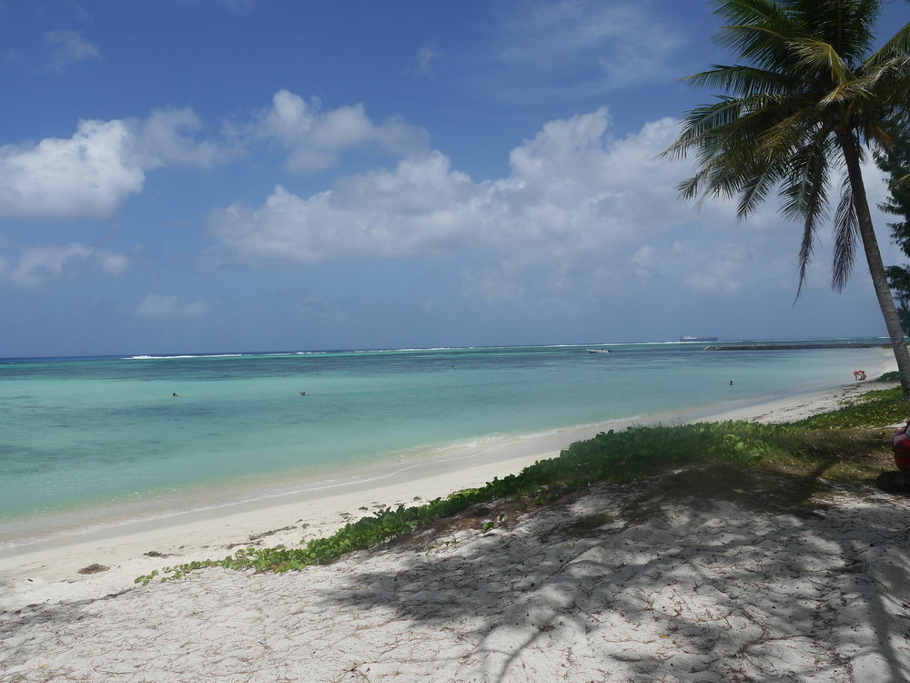 Aquarius Beach Tower Susupe المظهر الخارجي الصورة